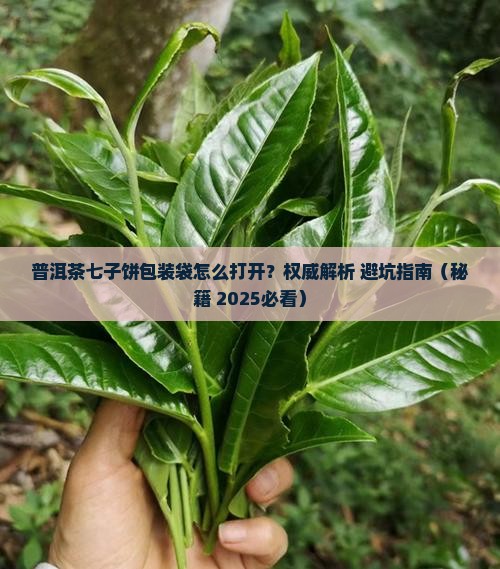 普洱茶七子饼包装袋