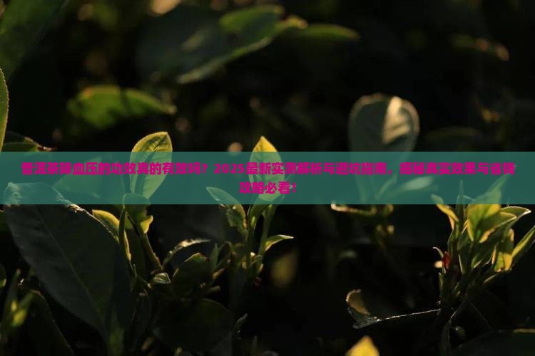 普洱茶降血压的功效吗