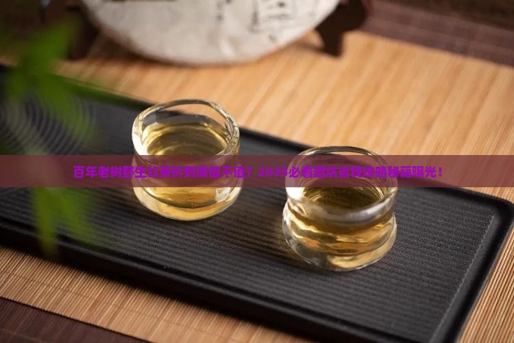 百年老树野生红茶价