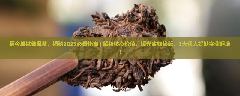 福今单株普洱茶
