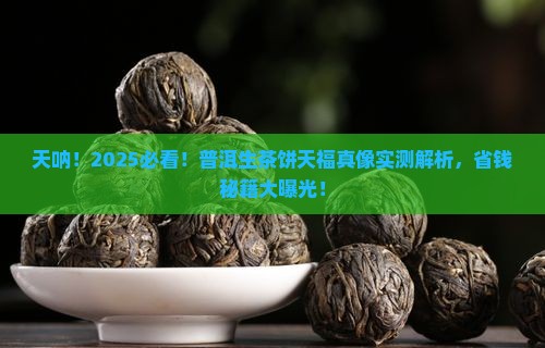 普洱茶生茶饼天福