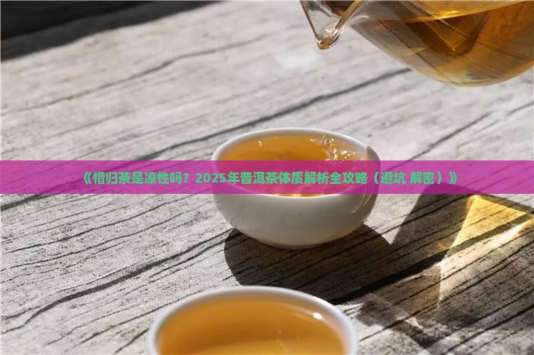 惜归茶普洱茶是凉性吗