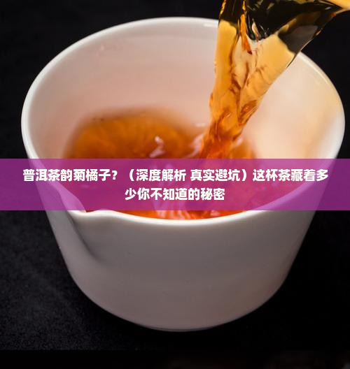 普洱茶韵菊橘子