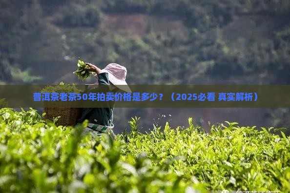 普洱茶老茶50年拍卖 普洱茶老茶50年拍卖