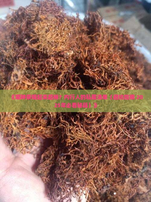 什么茶喝着好喝