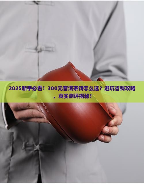 普洱茶300元一饼