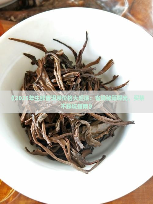 生鲜普洱茶价格多少