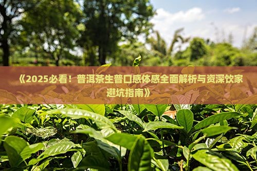 喝生普洱茶的体感