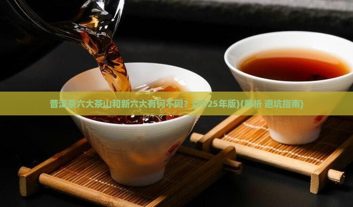 普洱茶六大茶山新六大
