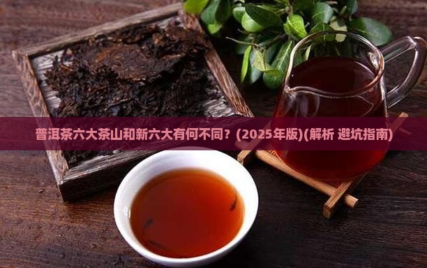 普洱茶六大茶山新六大