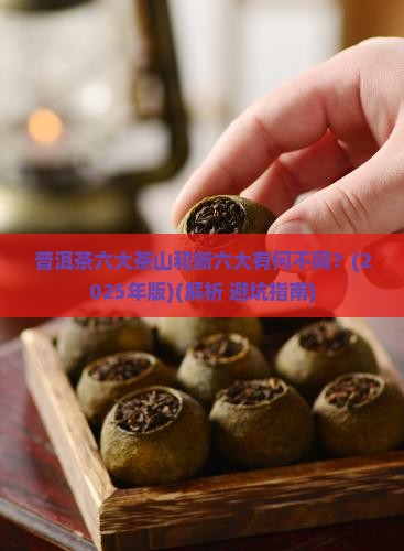 普洱茶六大茶山新六大