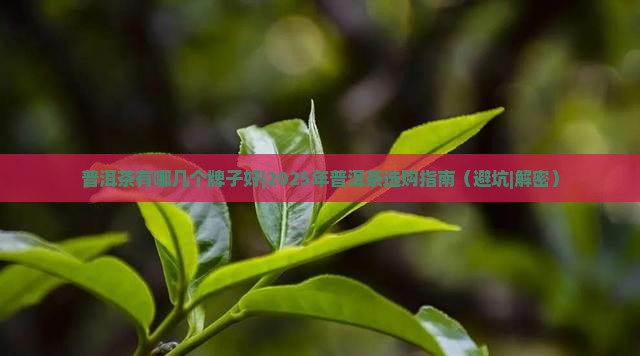 普洱茶有哪几个牌子好