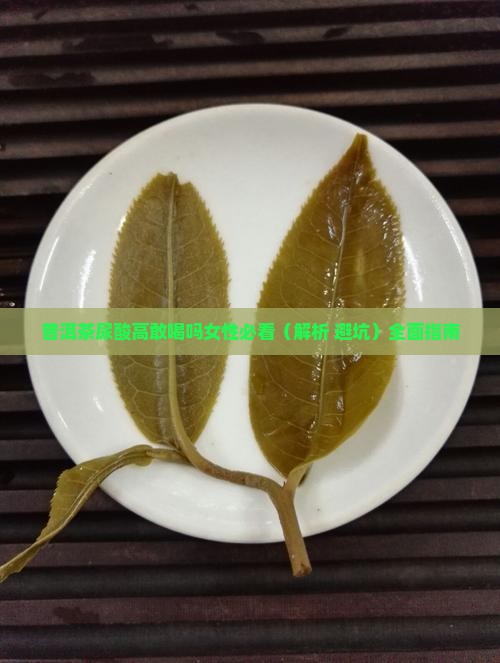 普洱茶尿酸高敢喝吗女性