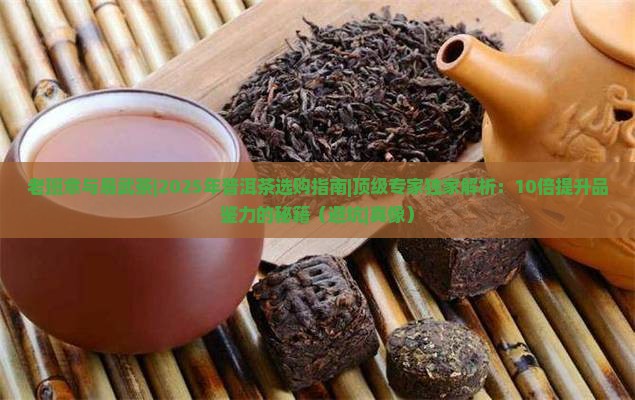 老班章与易武茶