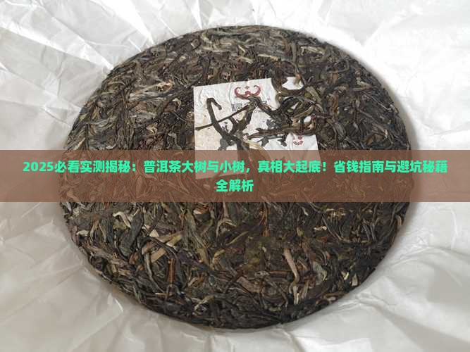 普洱茶大树和小树对比