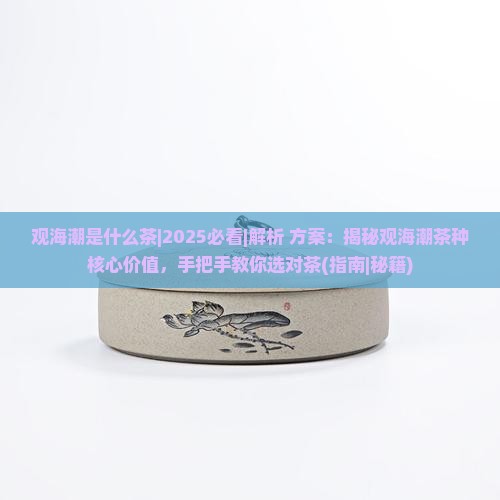 观海潮是什么茶