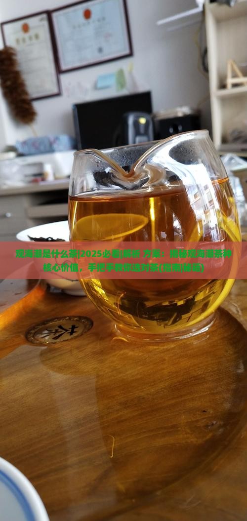 观海潮是什么茶
