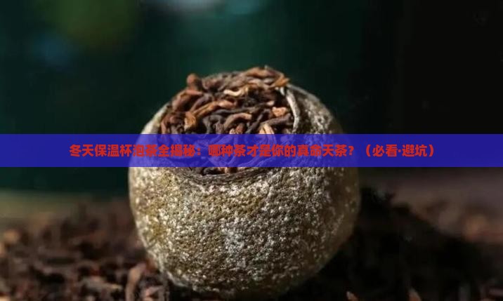 冬天保温杯适合泡什么茶