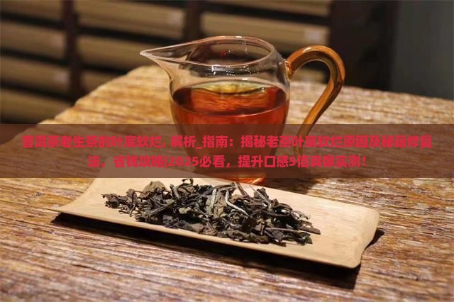 普洱茶老生茶的叶底软烂