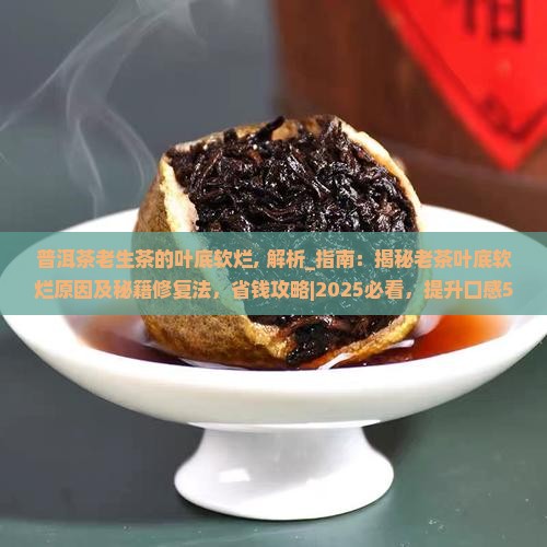 普洱茶老生茶的叶底软烂