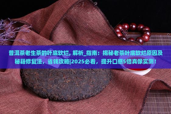 普洱茶老生茶的叶底软烂