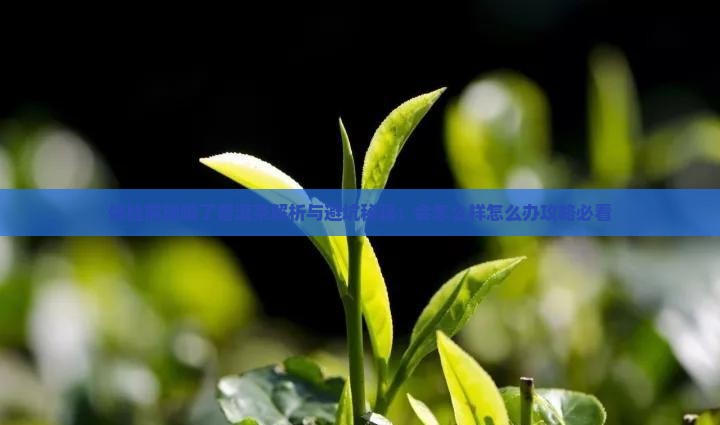 体检前晚喝了普洱茶