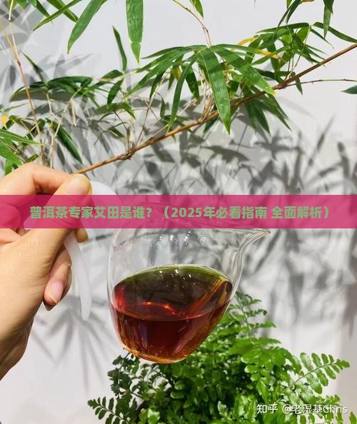 普洱茶专家艾田