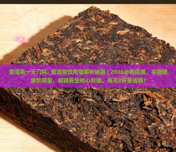 普洱茶一天几杯