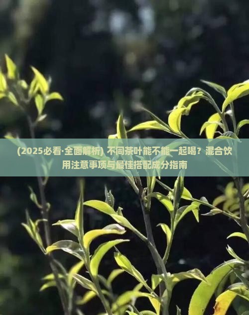 不同的茶叶可以混在一起喝吗