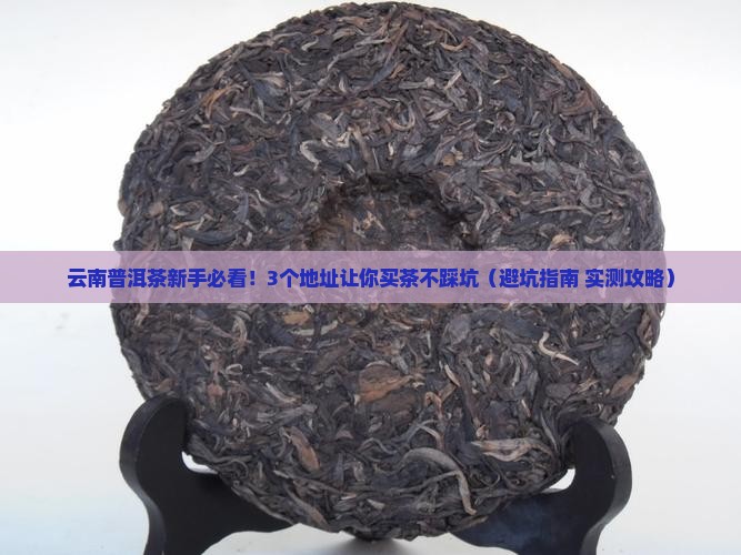 云南普洱茶交易市场地址