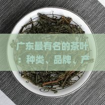 广东最有名的茶叶