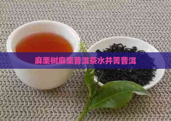 麻栗树水井箐普洱茶