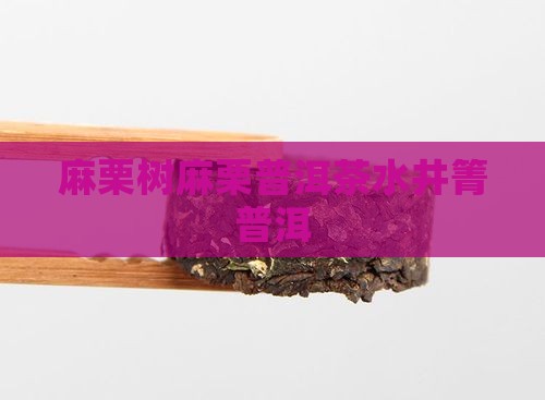 麻栗树水井箐普洱茶