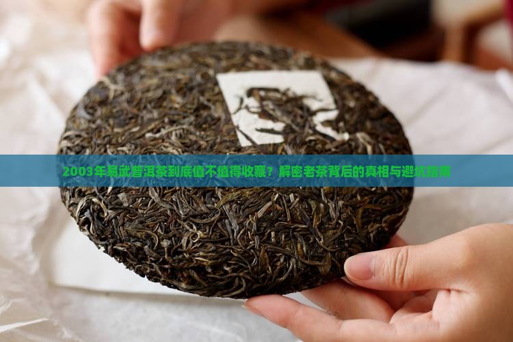 2003年易武普洱茶