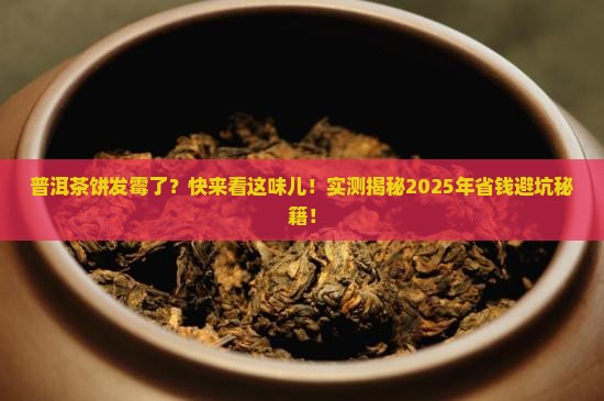 普洱茶饼发霉是啥味道的