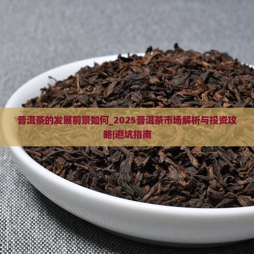 普洱茶的发展前景如何