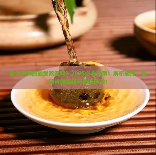 普洱茶最受欢迎