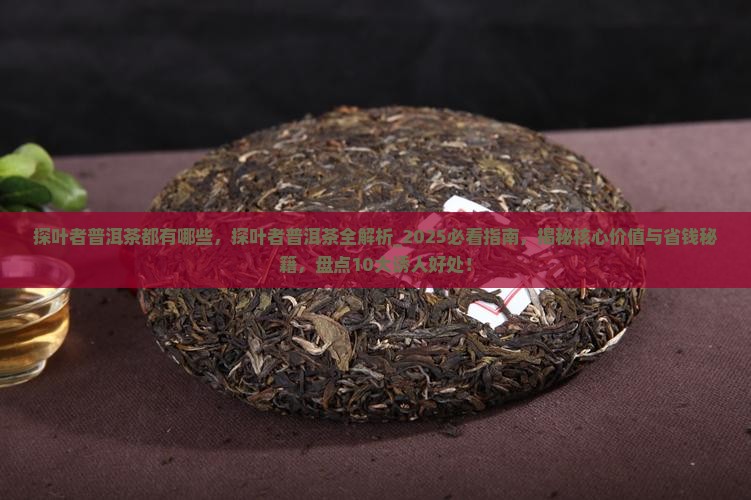 探叶者普洱茶都有哪些