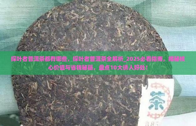 探叶者普洱茶都有哪些