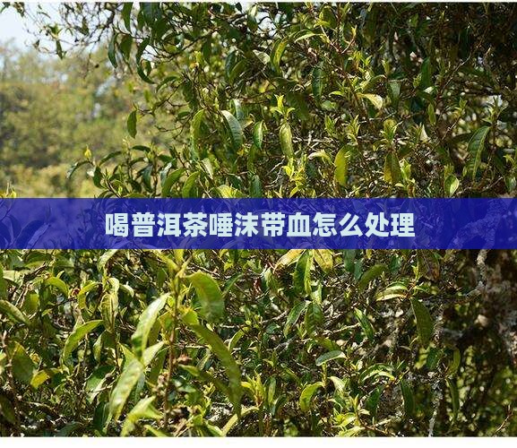 喝普洱茶唾沫带血