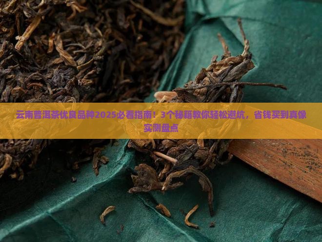 云南普洱茶优良品种