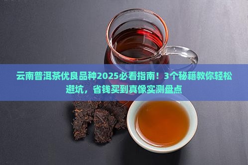 云南普洱茶优良品种