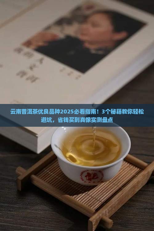 云南普洱茶优良品种