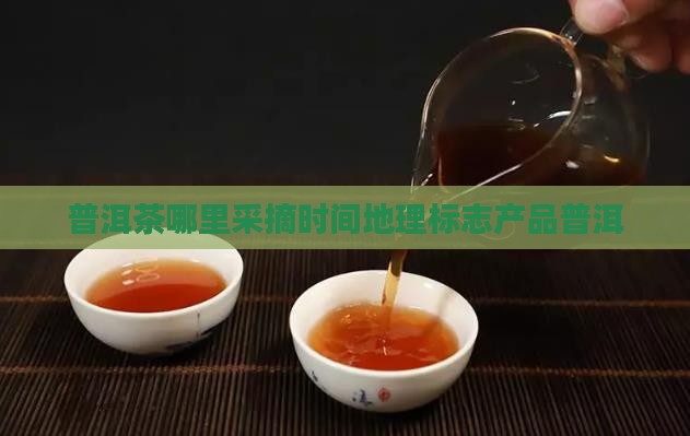 普洱茶在哪里采摘时间 普洱茶在哪里采摘时间