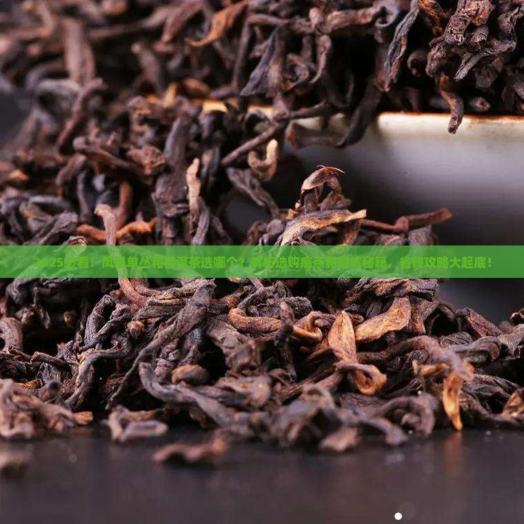 凤凰单丛和普洱茶选哪个