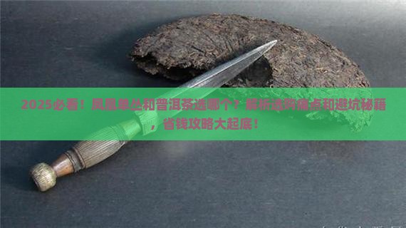 凤凰单丛和普洱茶选哪个
