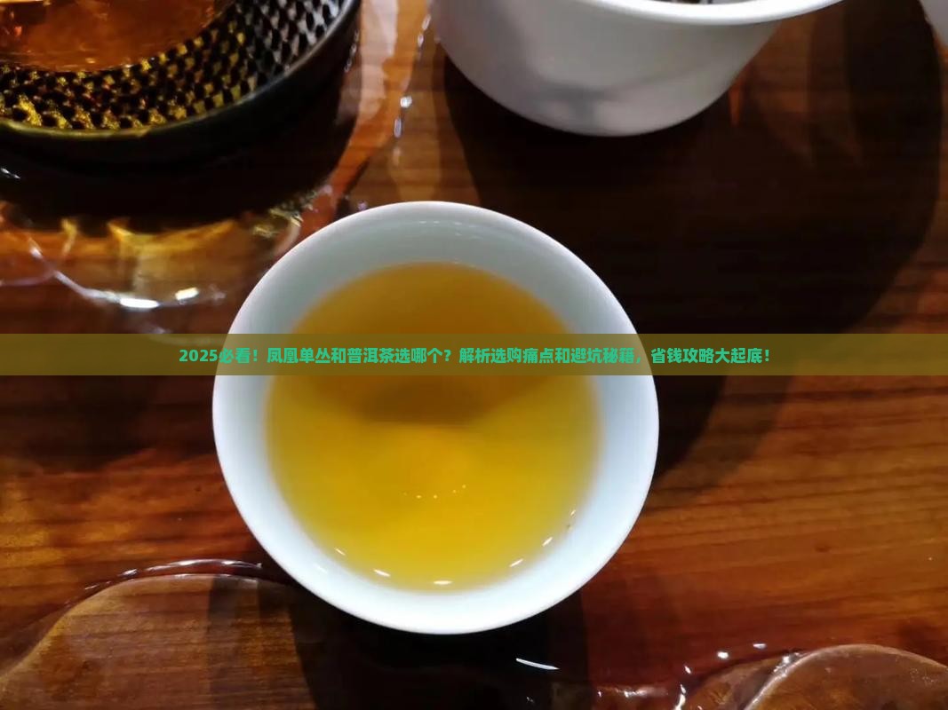 凤凰单丛和普洱茶选哪个