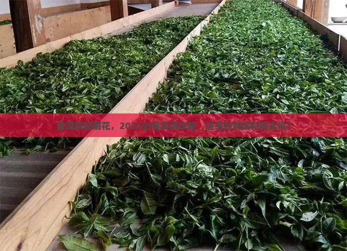 普洱茶里面加菊花