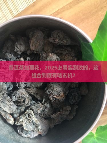 普洱茶里面加菊花