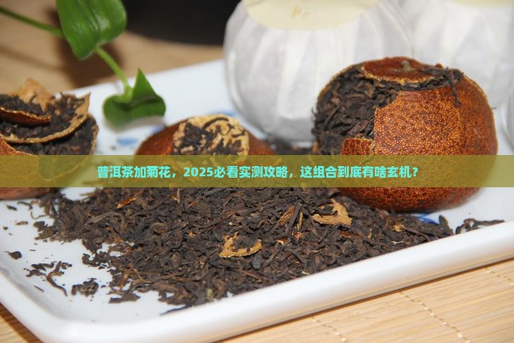 普洱茶里面加菊花